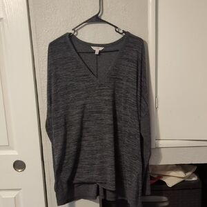 Terra & Sky Women's Grey Sweater